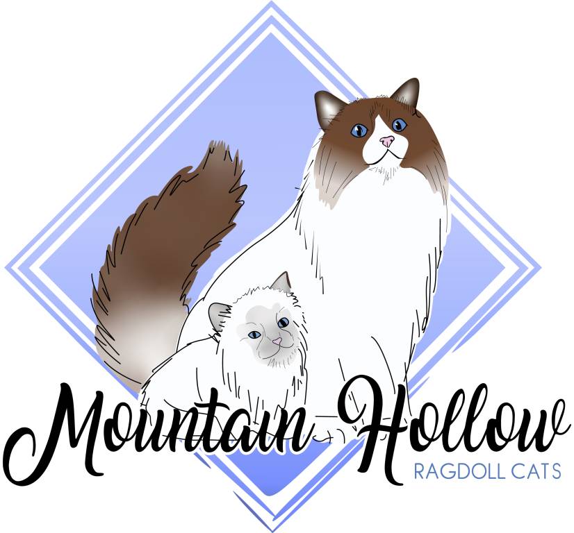 Mountain Hollow logo with illustrated Ragdoll kitten breeds in pointed and solid coat patterns