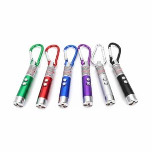 Row of six colourful LED laser pointer keychains in green, red, blue, purple, silver, and black, each with a metal clip and twin buttons, displayed on a white background