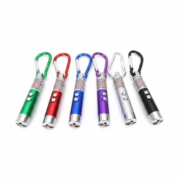 Row of six colourful LED laser pointer keychains in green, red, blue, purple, silver, and black, each with a metal clip and twin buttons, displayed on a white background